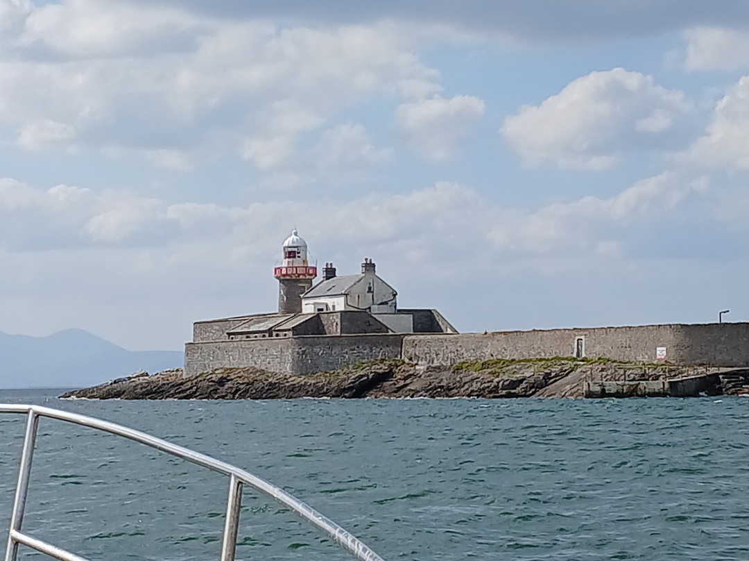 Tralee Bay Experience- Fenit boat tours景点图片