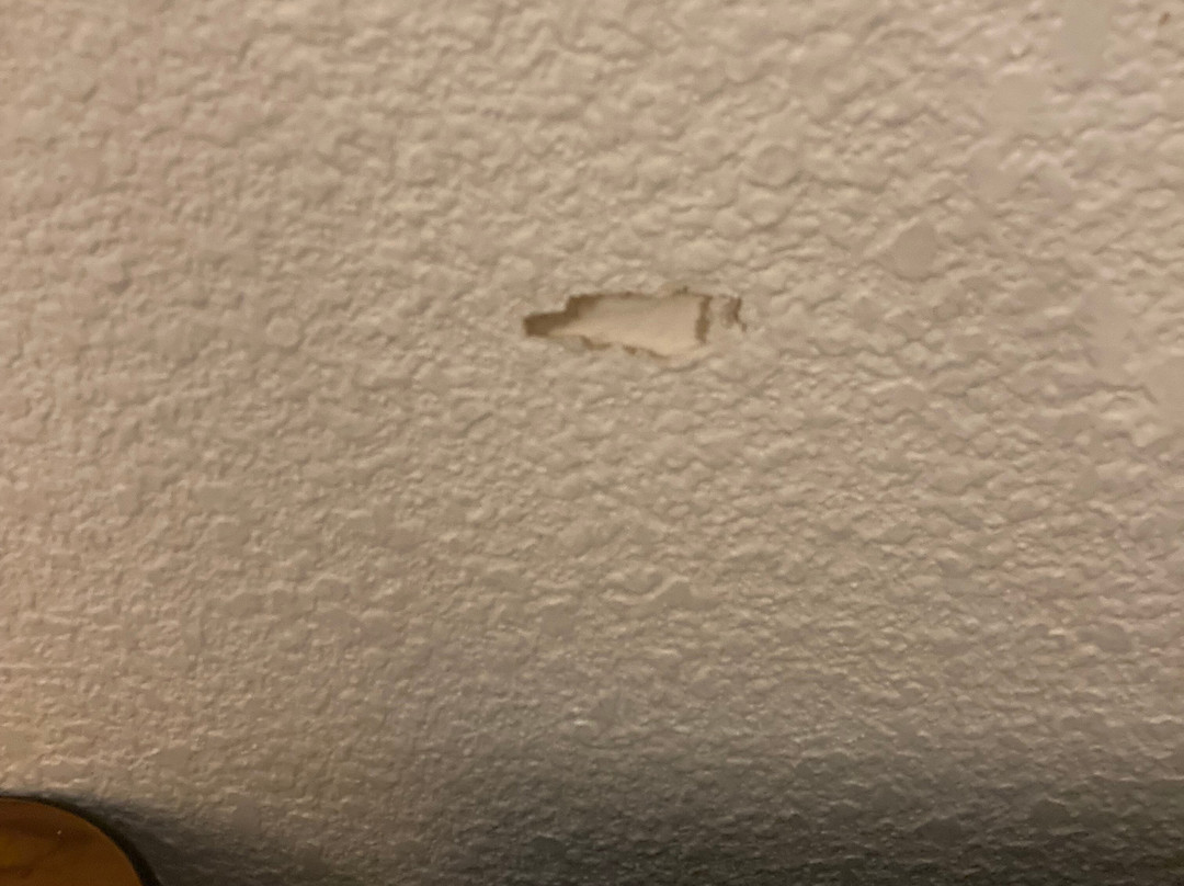 Super 8 by Wyndham the Dalles OR主图