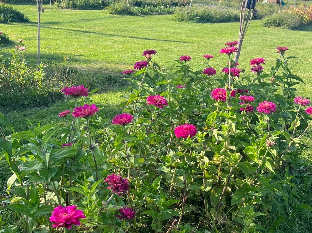 Valley Dream Farm-Cambridge必去景点