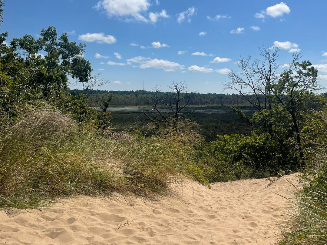 Grand Mere State Park景点图片