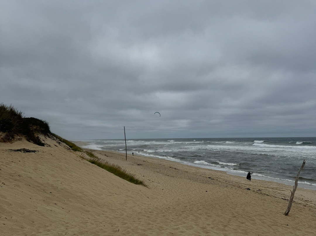 Newcomb Hollow Beach景点图片