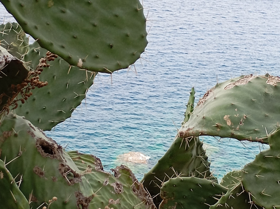 Area Marina Protetta Capo Milazzo-Milazzo必去景点