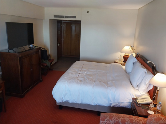 哥斯达黎加加拉纳酒店主图