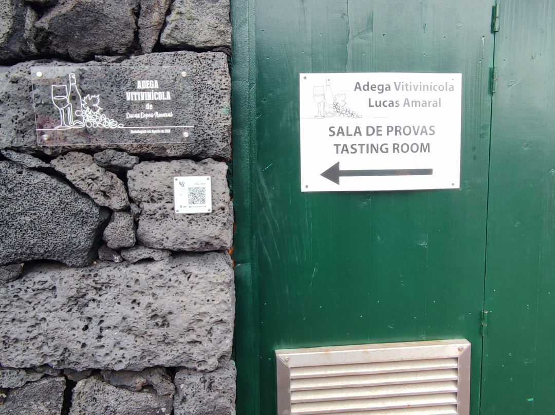 Adega Vitivinícola Lucas Lopes Amaral-Candelaria必去景点