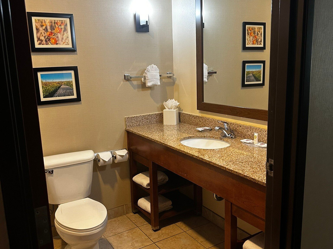 Comfort Suites Glendale - State Farm Stadium Area主图