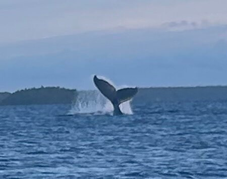 Treasure Island Eueiki Eco Resort主图