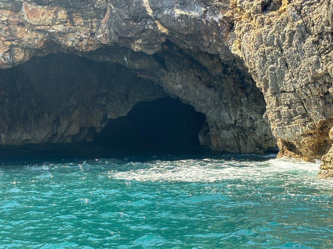Algarve Dolphin Lovers景点图片