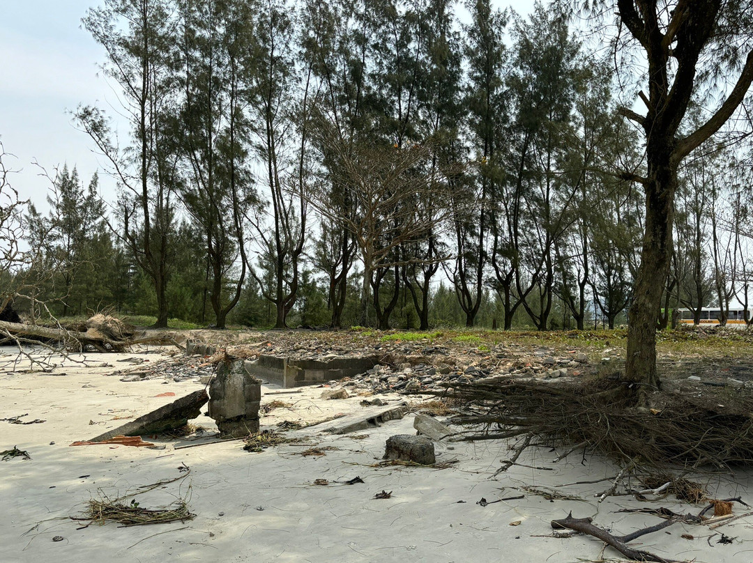 Dunas do Araçá-Ilha Comprida必去景点