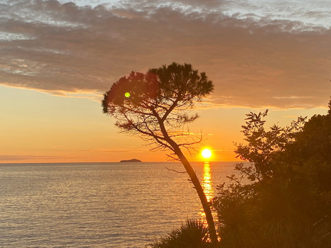 Private Experience Croatia-斯普利特必去景点