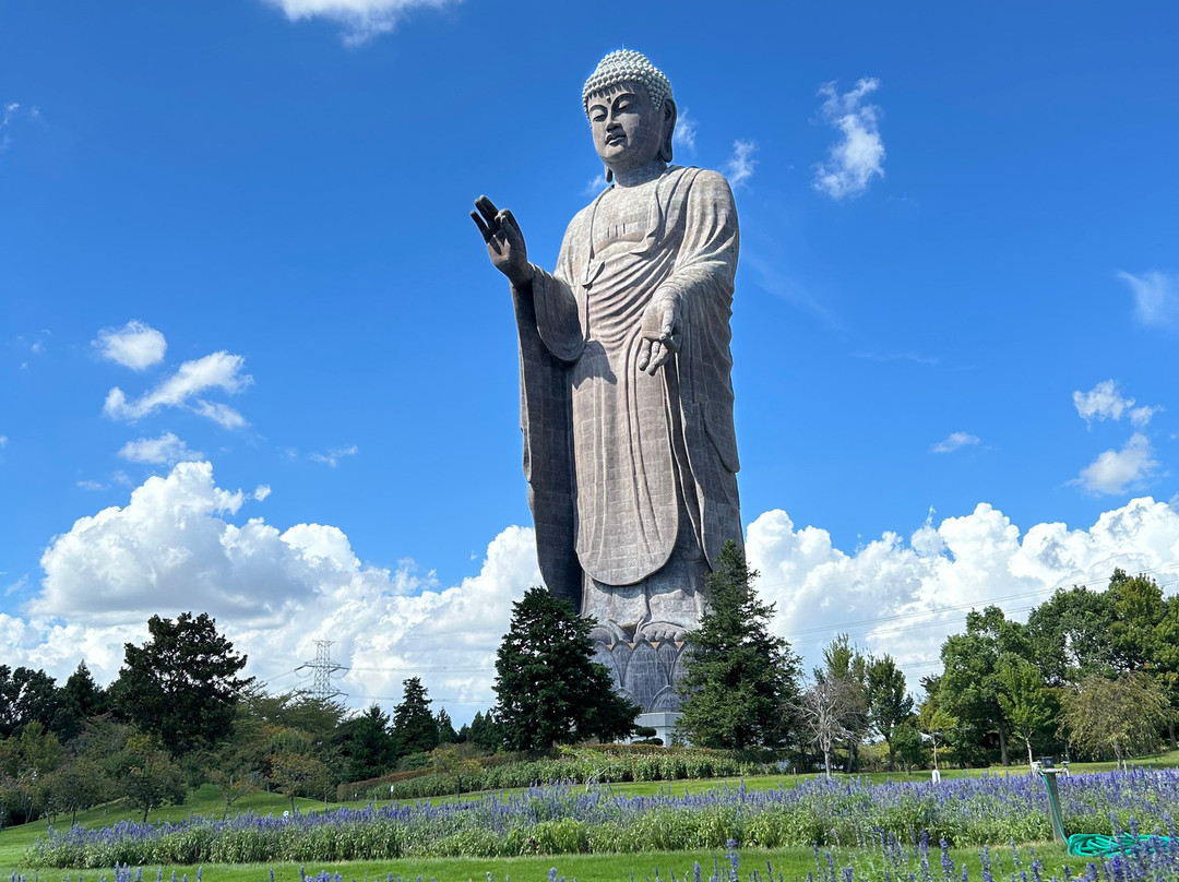 Ushiku Daibutsu-牛久市必去景点