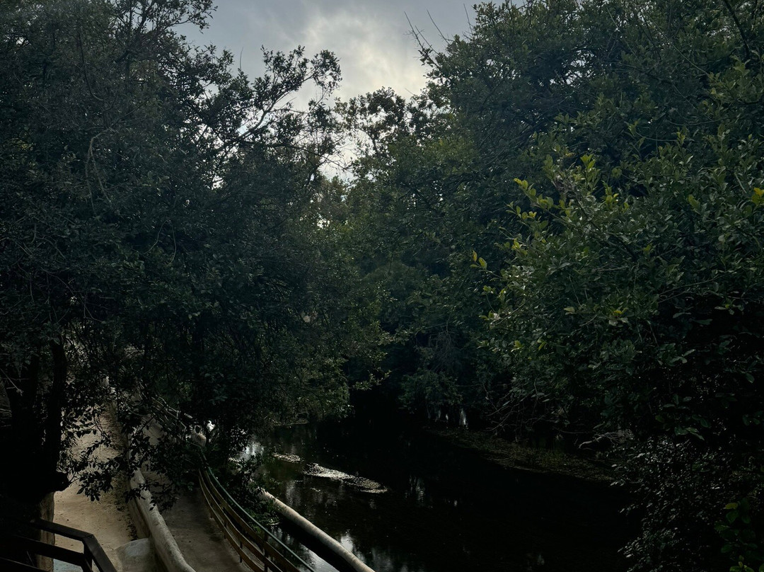 Hinman Island Park-新布朗费尔斯必去景点