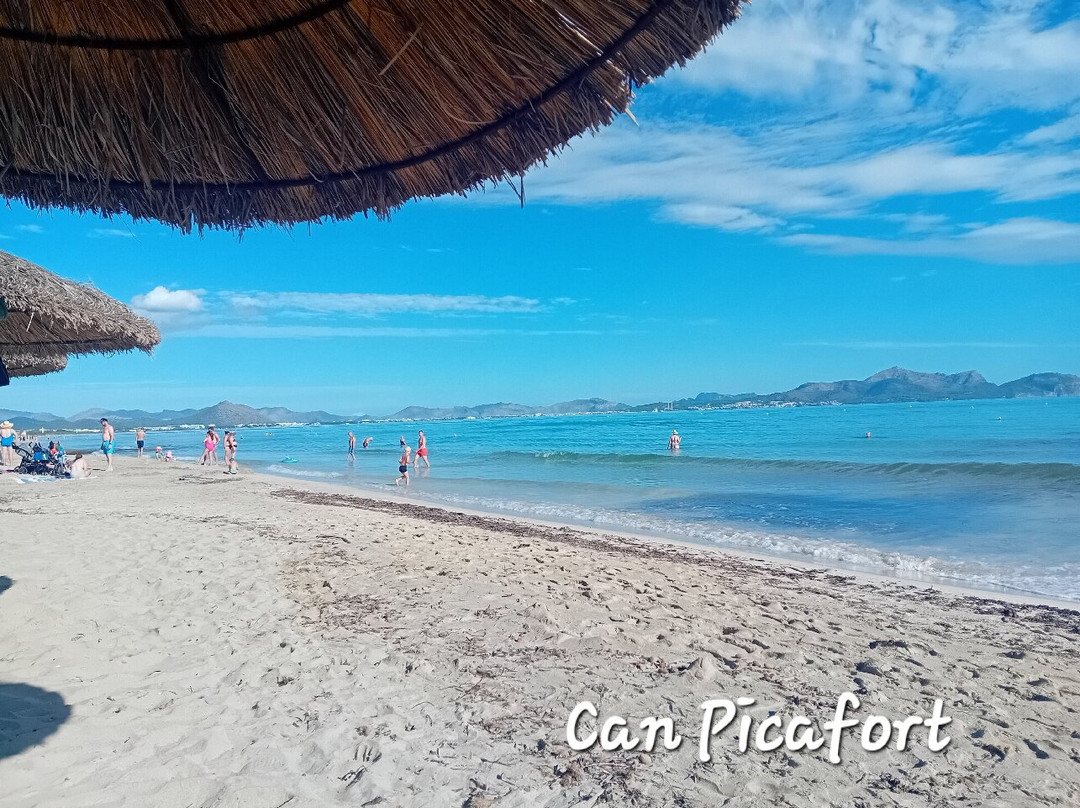 Playa de Ca'n Picafort景点图片
