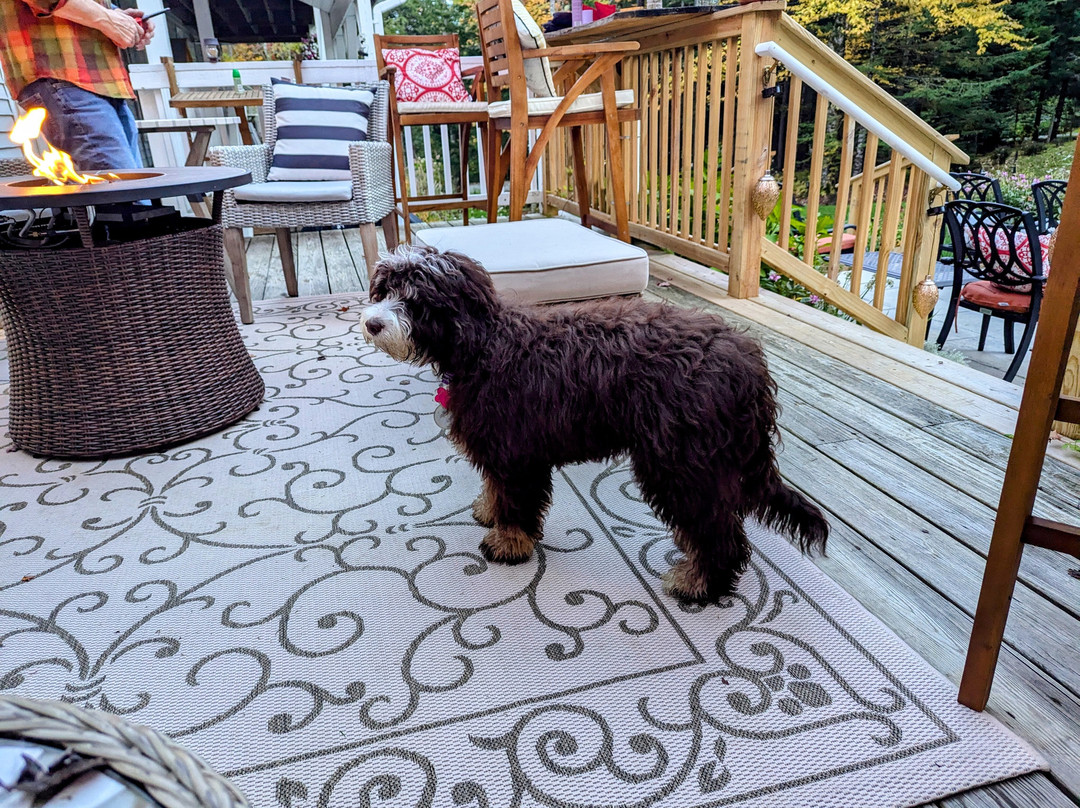 Snow Goose Inn主图