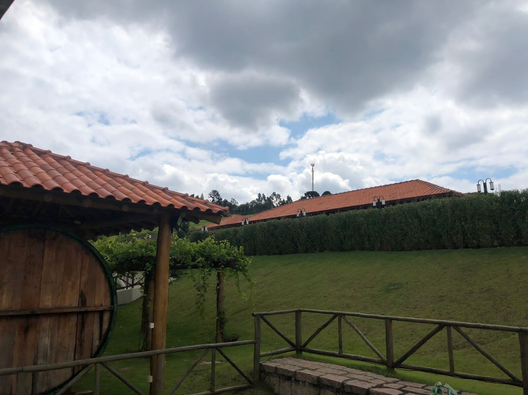 Vinicola Castanho-容迪亚伊必去景点