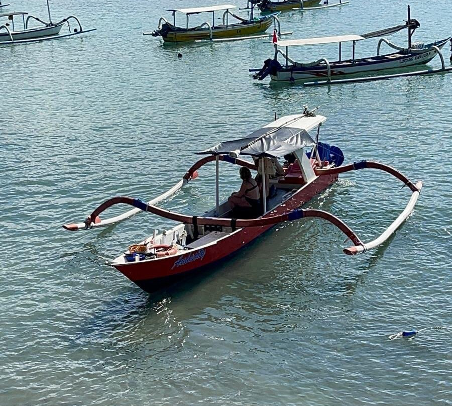 Sana Bali Guide And Tour-吉安雅必去景点