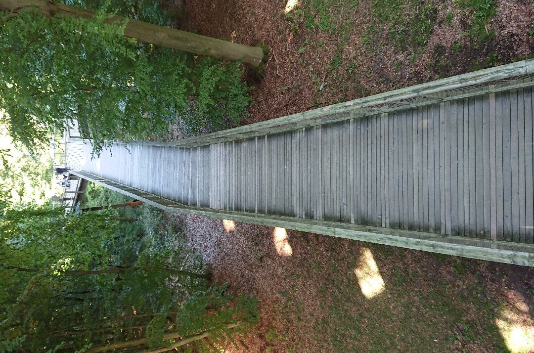 Aussichtplattform Adlerhorst - Baumwipfelpfad Rügen Naturerbezentrum Rügen景点图片