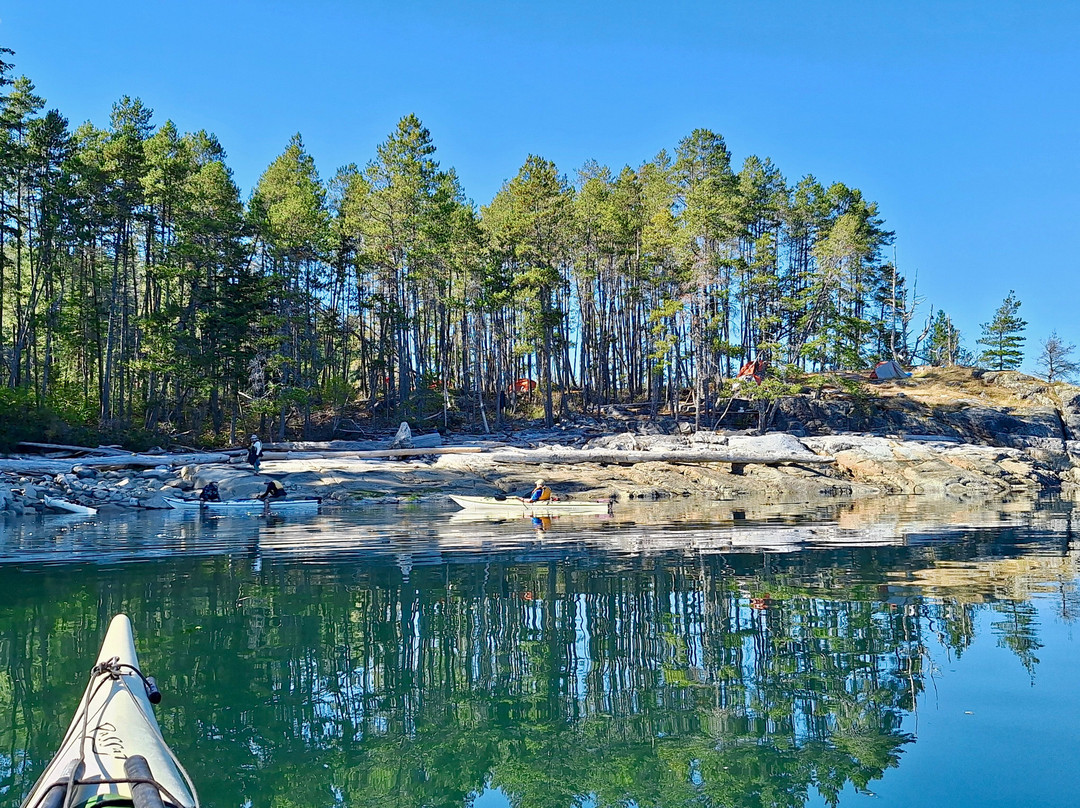 Coast Mountain Expeditions-Surge Narrows必去景点