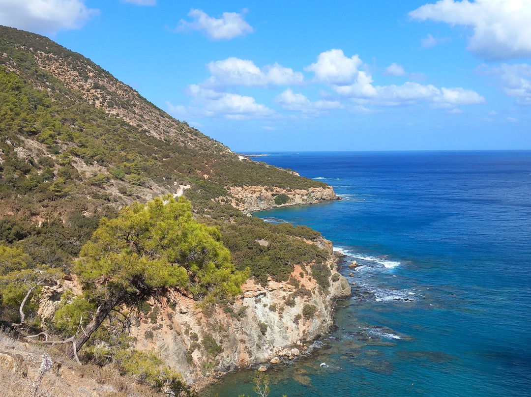 Aphrodite Safari Tours-Neo Chorion必去景点