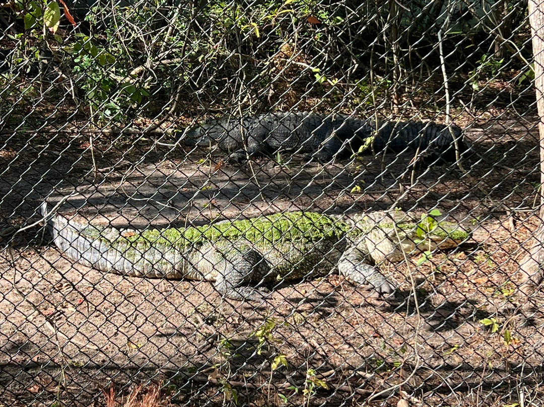 Chehaw Park & Zoo-奥尔巴尼必去景点