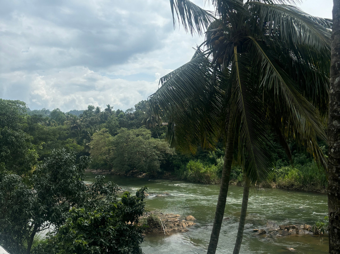 Sri lanka Ok Tours-康提必去景点