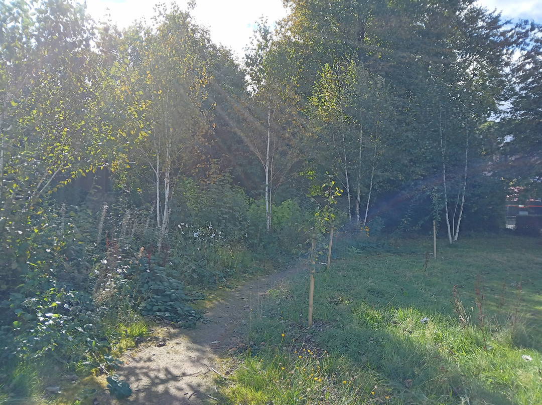 George Wylie Memorial Garden-Gourock必去景点