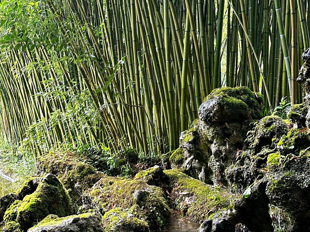 Parque Natural Señorío de Bertiz-Oieregi必去景点