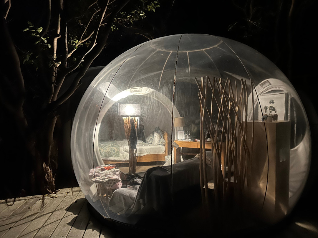 Bubble Lodge Ile aux Cerfs主图