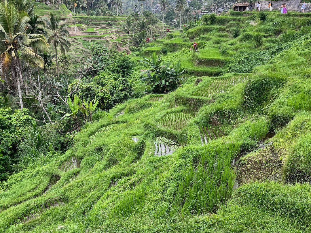 Angel Bali Vacation-巴厘岛必去景点