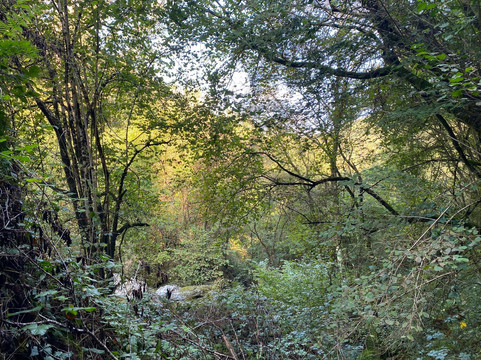 Fervenza Do Escouridal-Alfoz必去景点