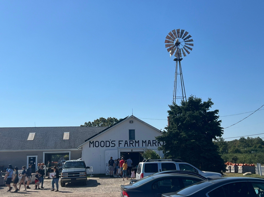 Mood's Farm Market景点图片