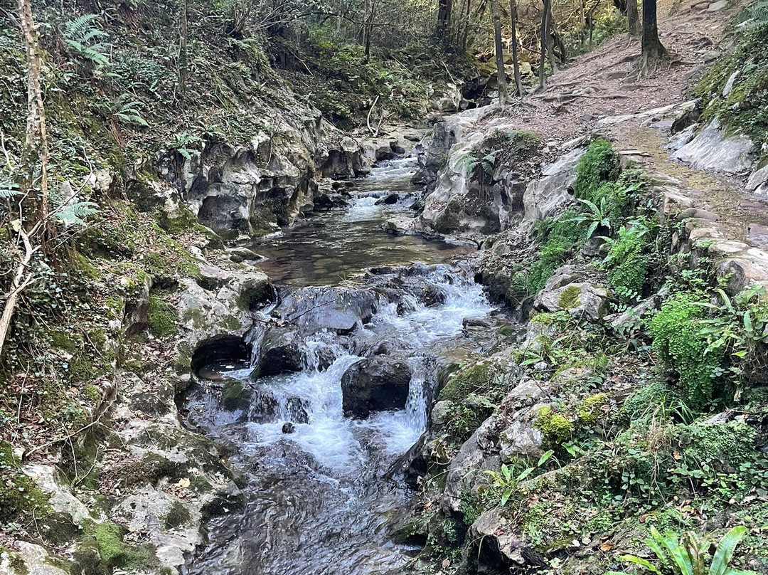 Cuevas de Zugarramurdi-Zugarramurdi必去景点
