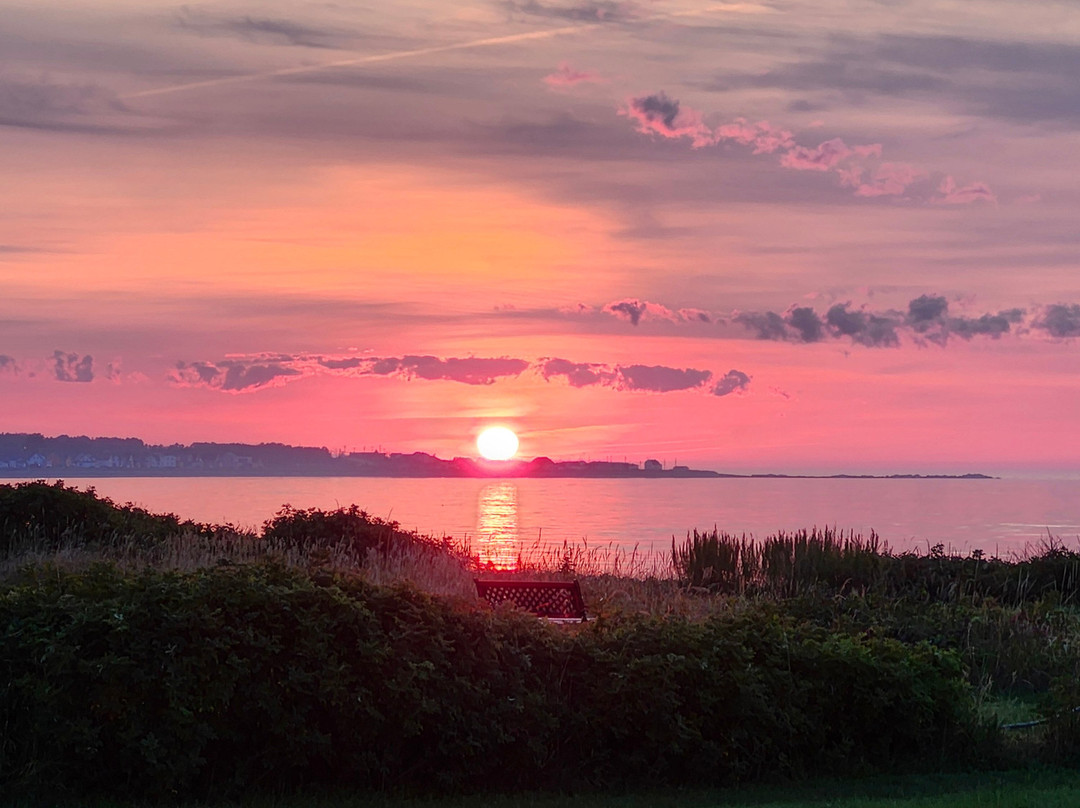 Motel Beaurivage主图