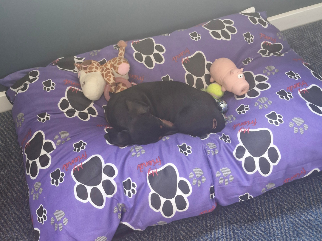 Travelodge Eastleigh Central主图