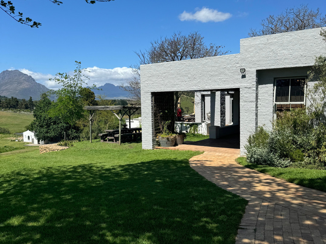 Grapes of Good Hope-开普敦必去景点