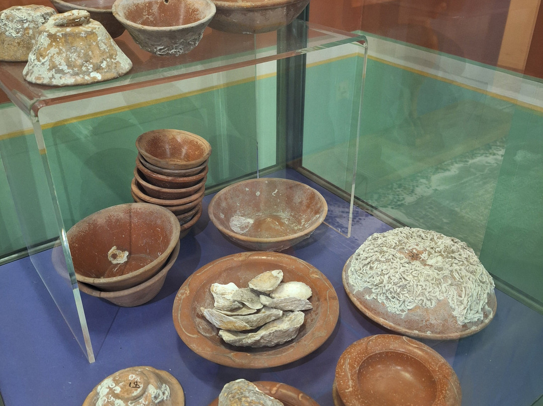 Canterbury Roman Museum景点图片