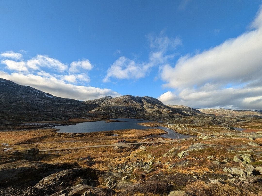 Bergen to Oslo Train Ride景点图片