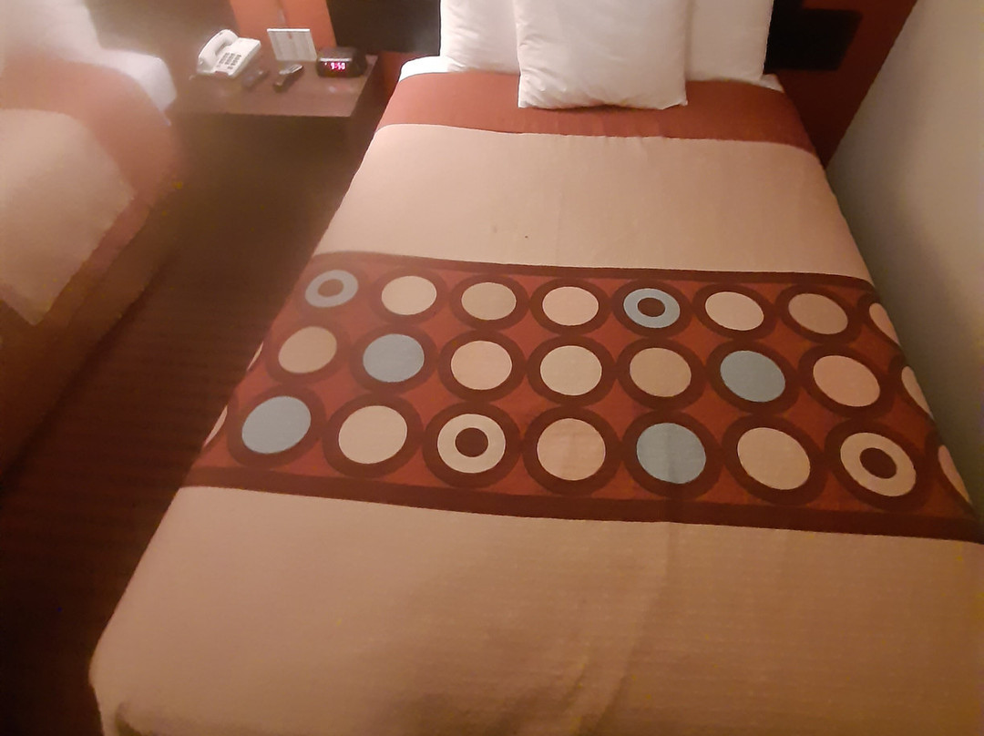 Super 8 by Wyndham Dumfries/Quantico主图