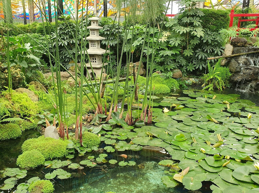 Plaza Gonzalez Arratia-托卢卡必去景点