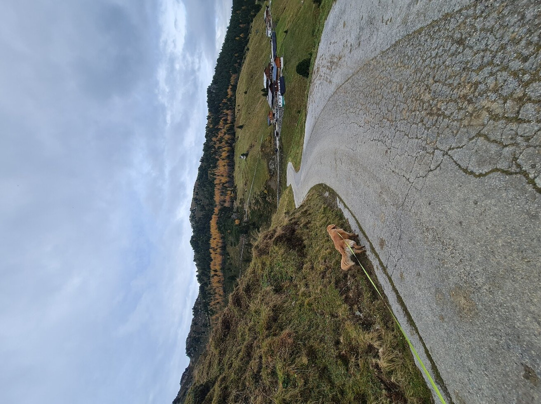 Zillertaler Höhenstraße景点图片