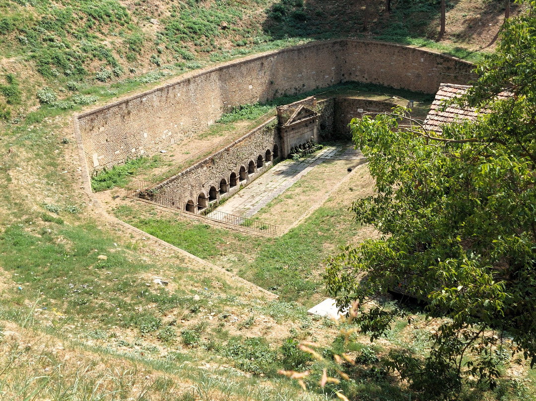 Fonte del Borgo景点图片