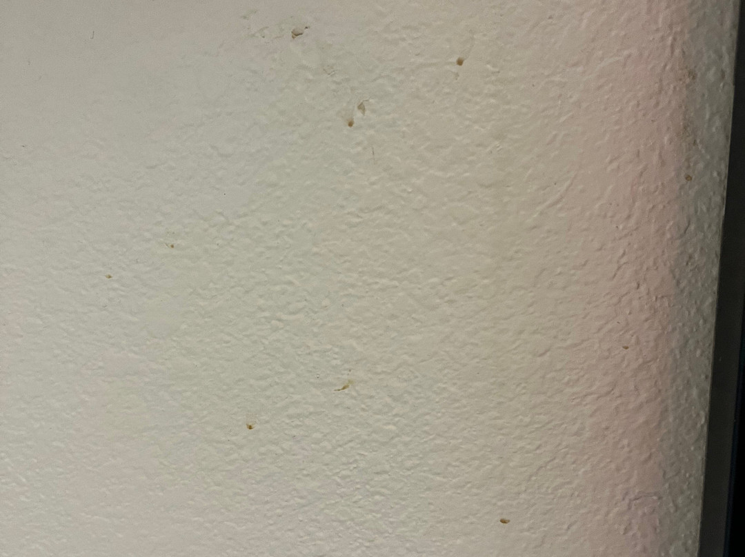 Days Inn by Wyndham Keene NH主图