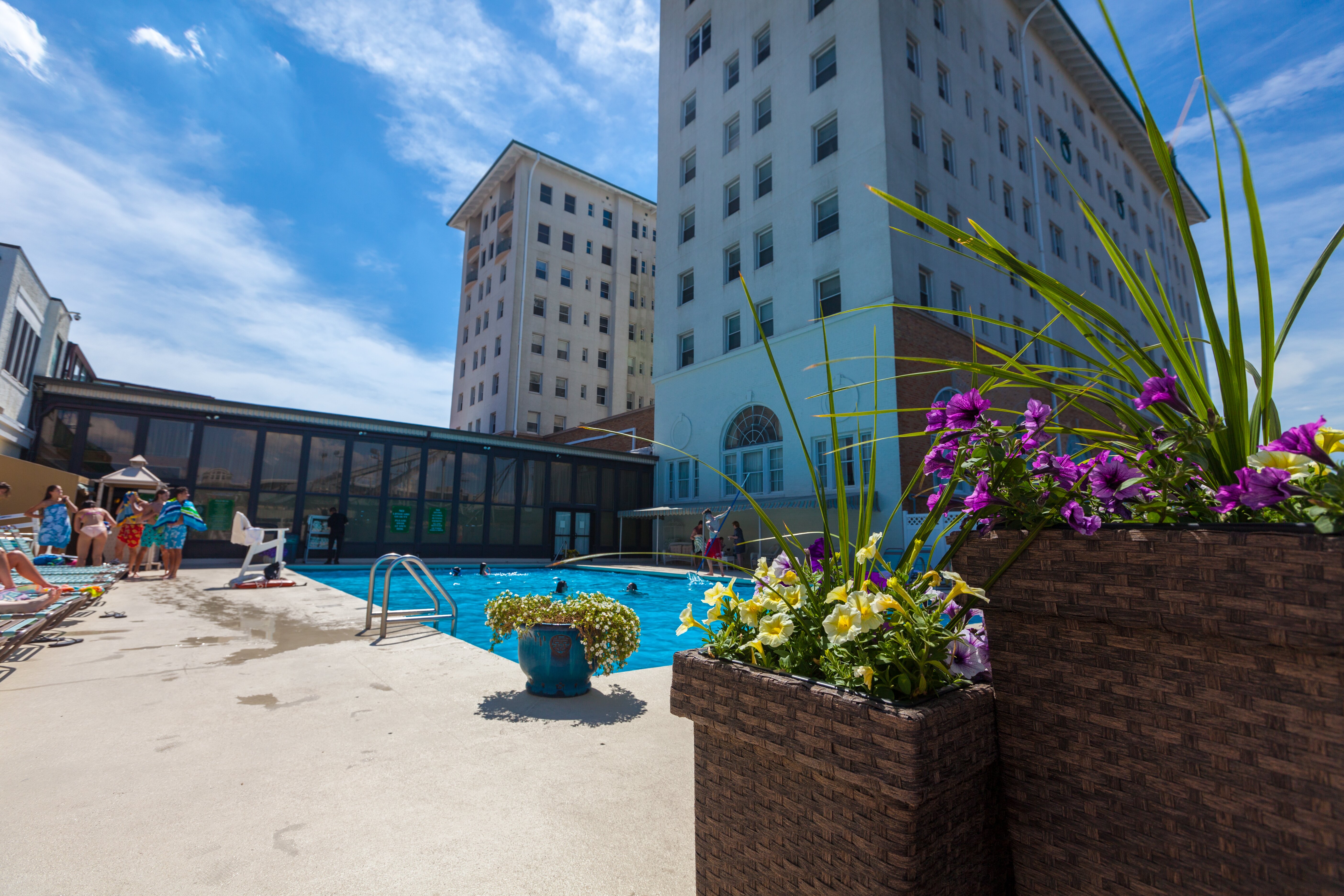 The Flanders Hotel-泳池