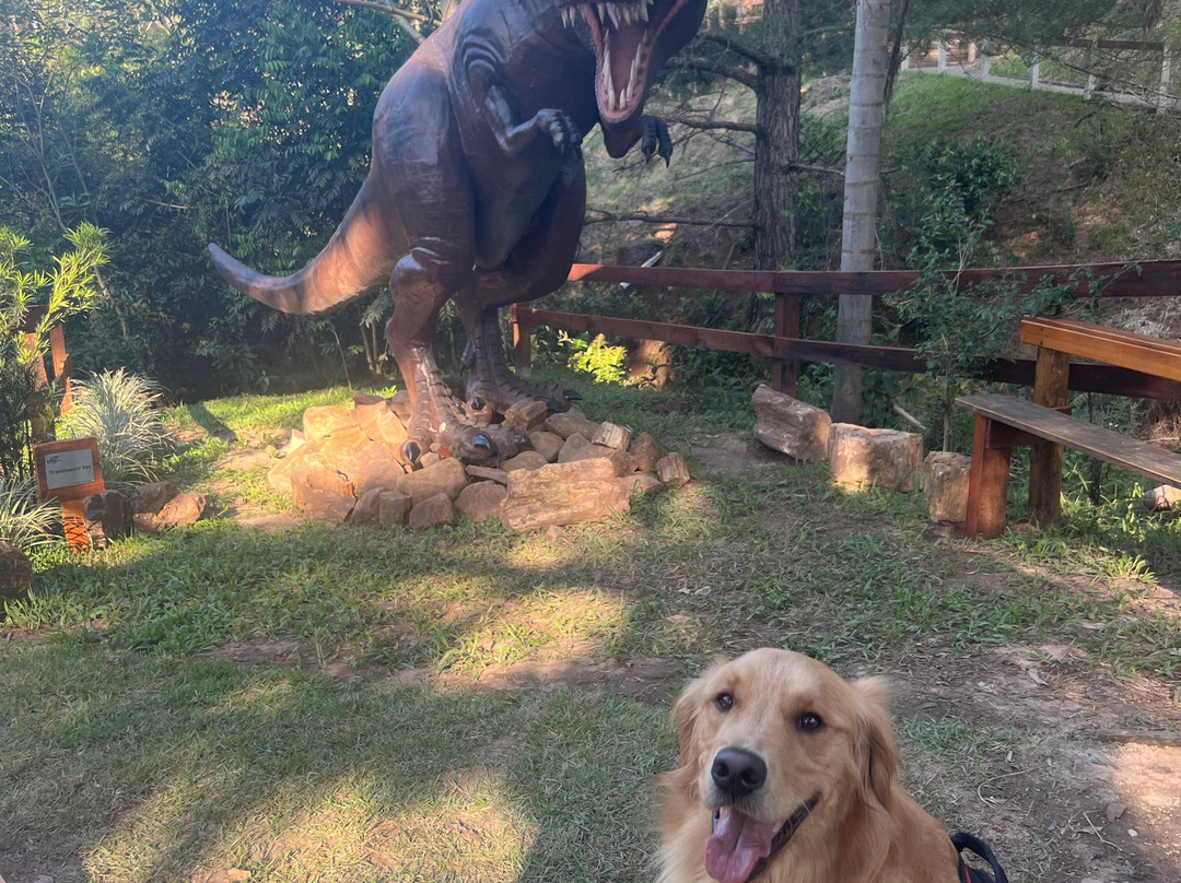 Parque TMC Kleber: Vale dos Dinossauros景点图片
