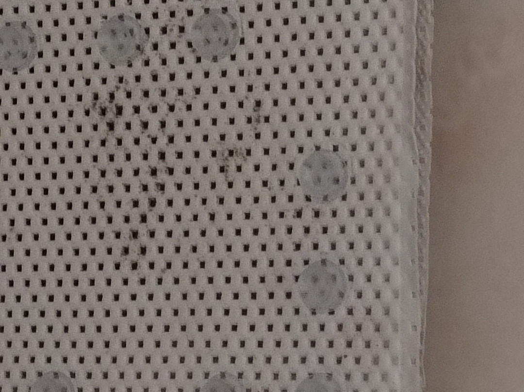 The Carew Arms主图