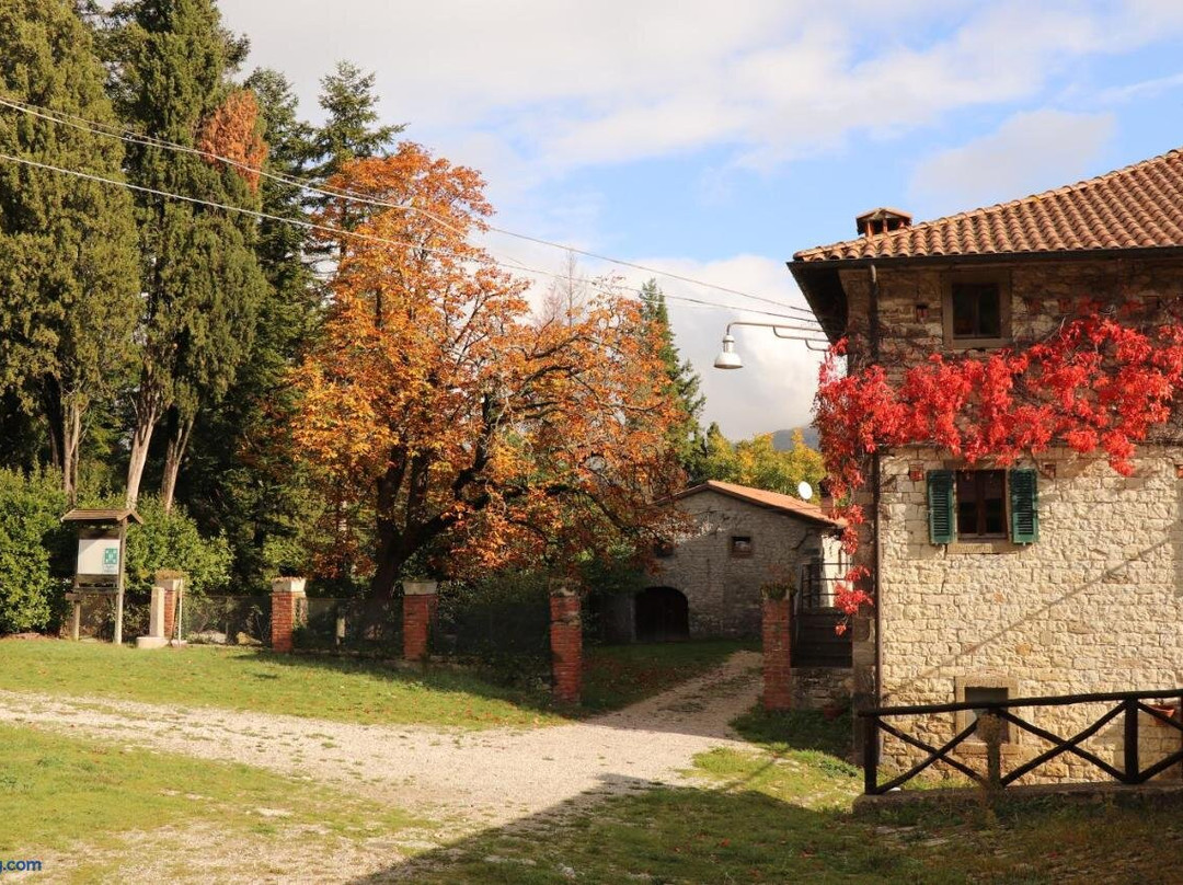 Agriturismo Villaggio Eden