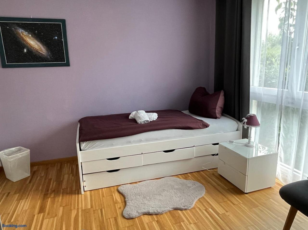 Oasi