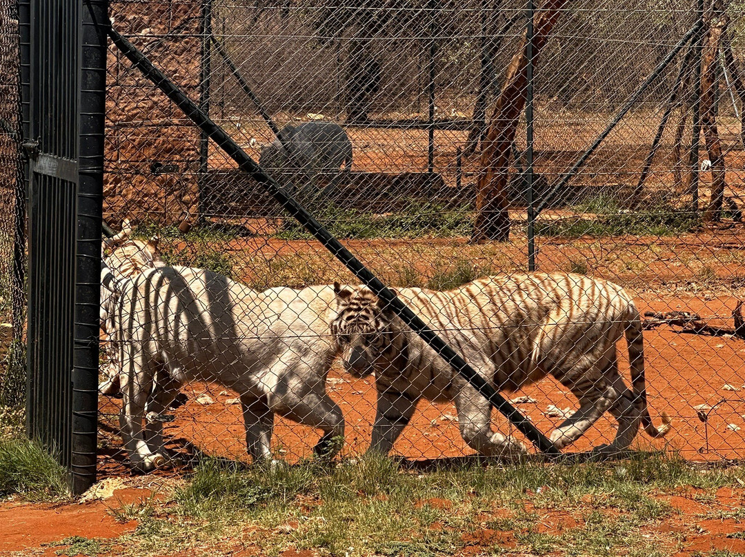 Kudu's Rus Game Lodge and Predator Park-鲁斯登堡必去景点