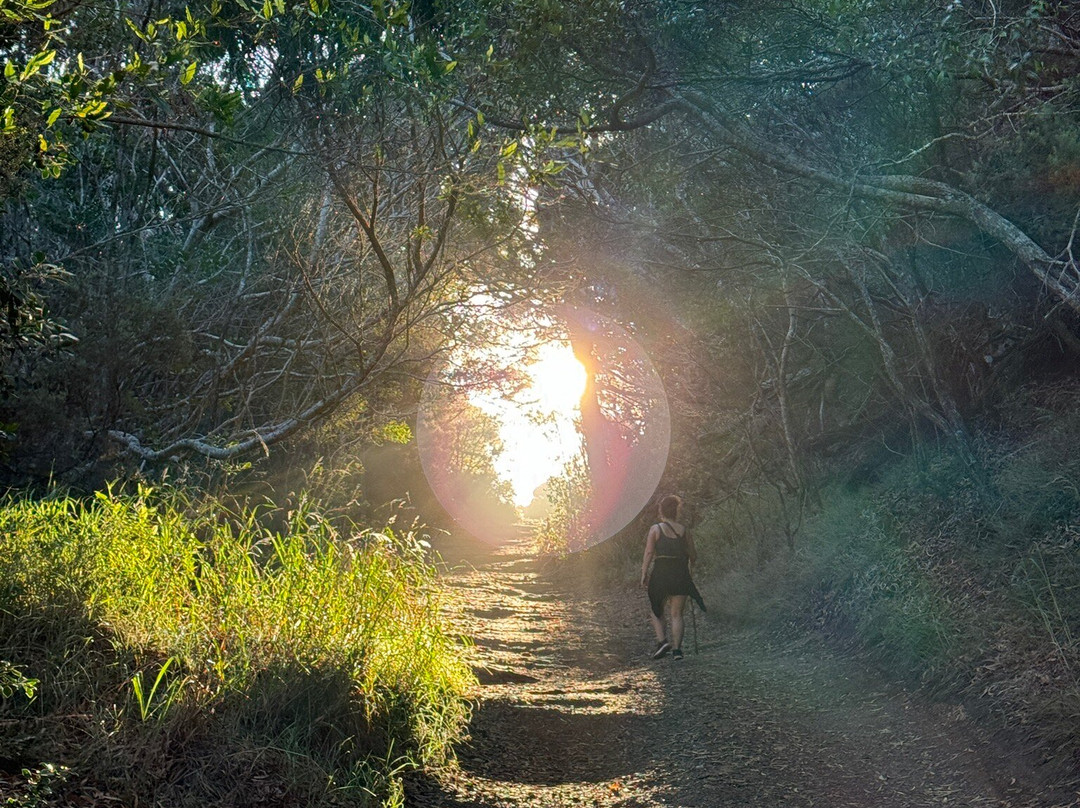 Waipo’o Falls-威美亚必去景点