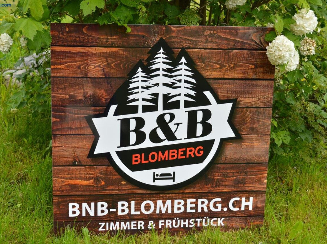 Ricken酒店住宿-B&B Blomberg