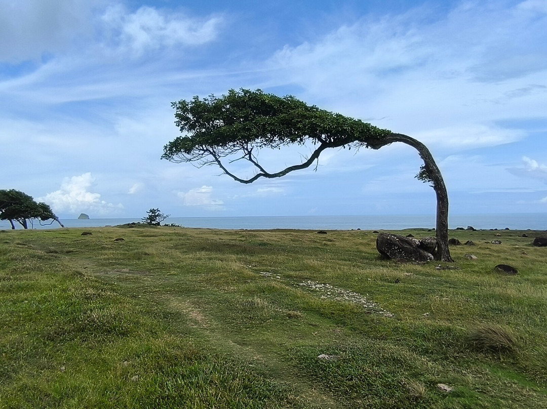 Pointe Allegre-Sainte Rose必去景点